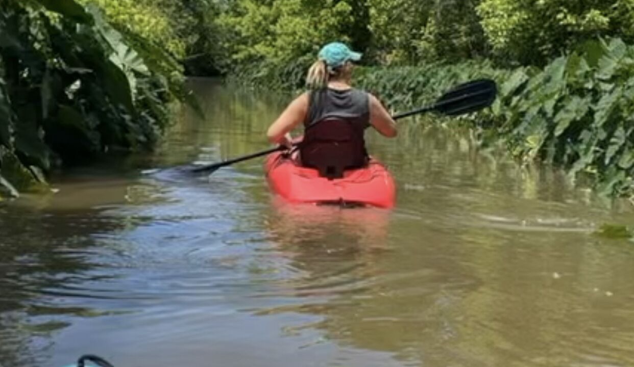 Photo of Others in Ventress