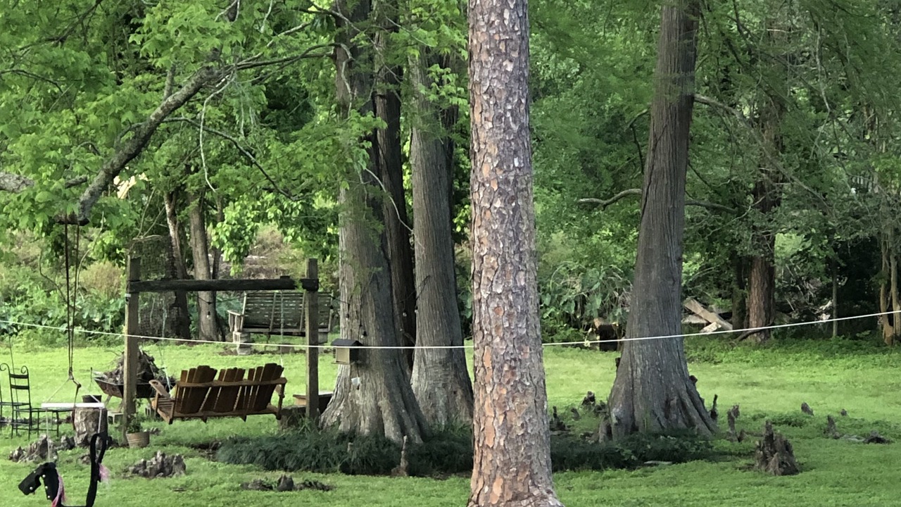 Photo of Outdoor in Ventress