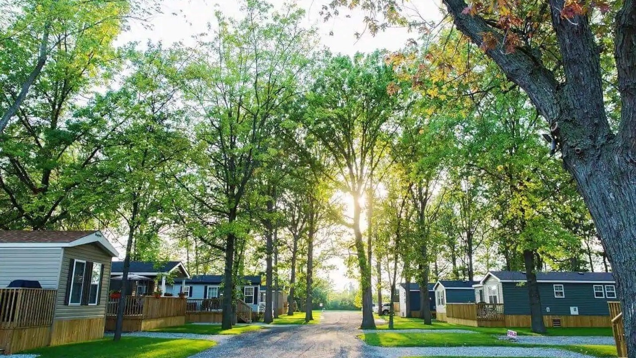 Photo of Outdoor in Virgil