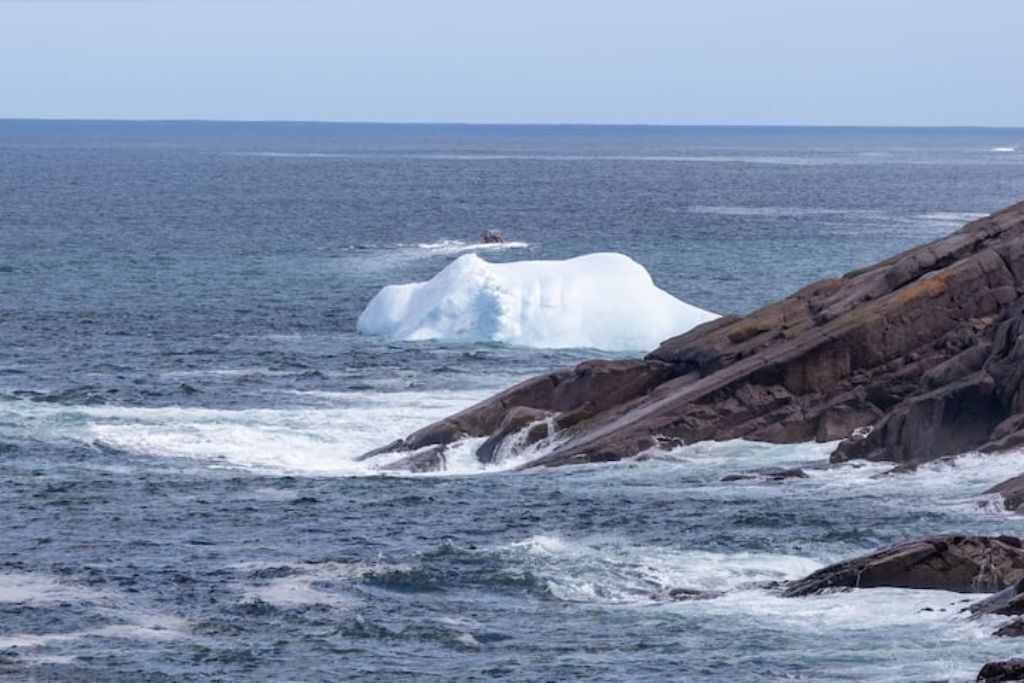 Photo of Others in Petty Harbour
