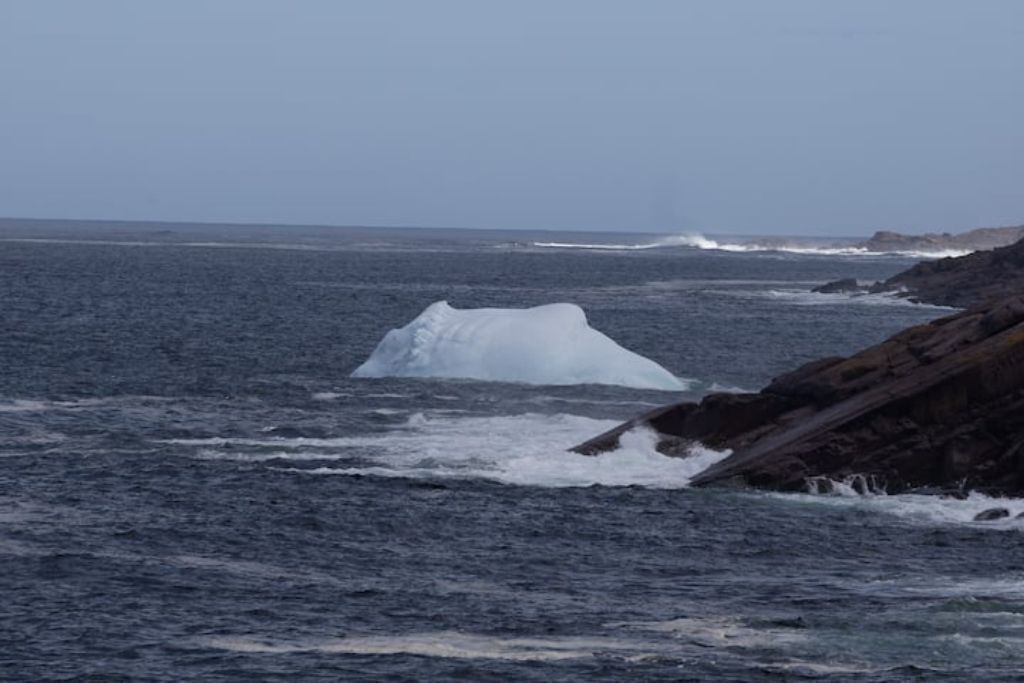 Photo of Others in Petty Harbour