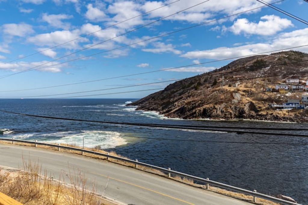 Photo of Others in Petty Harbour