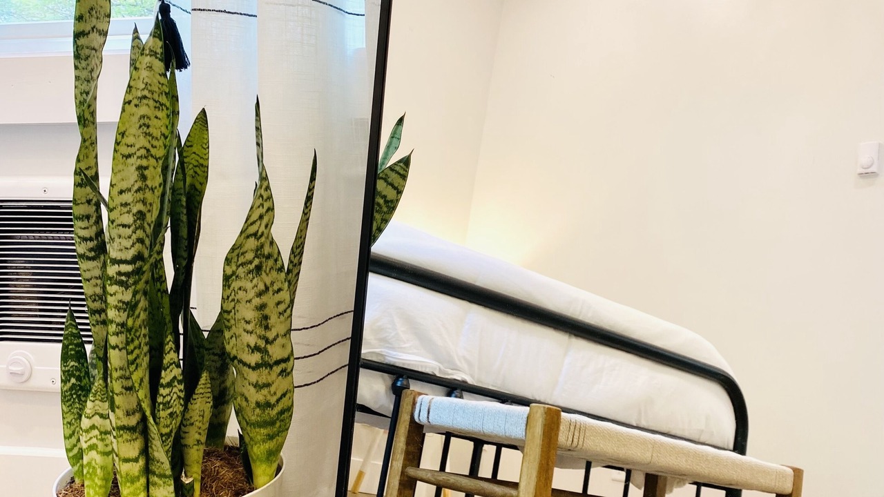 Photo of Others in Jamestown Shores