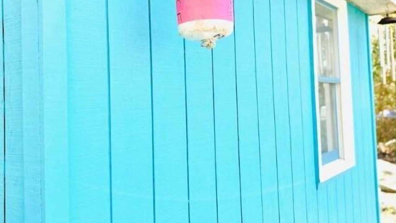 Photo of Outdoor in Jamestown Shores