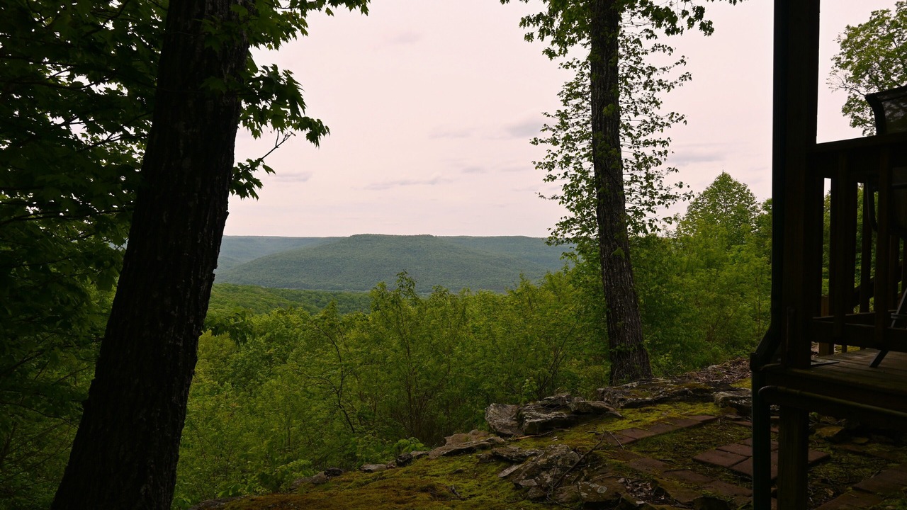 Photo of Outdoor in Sewanee