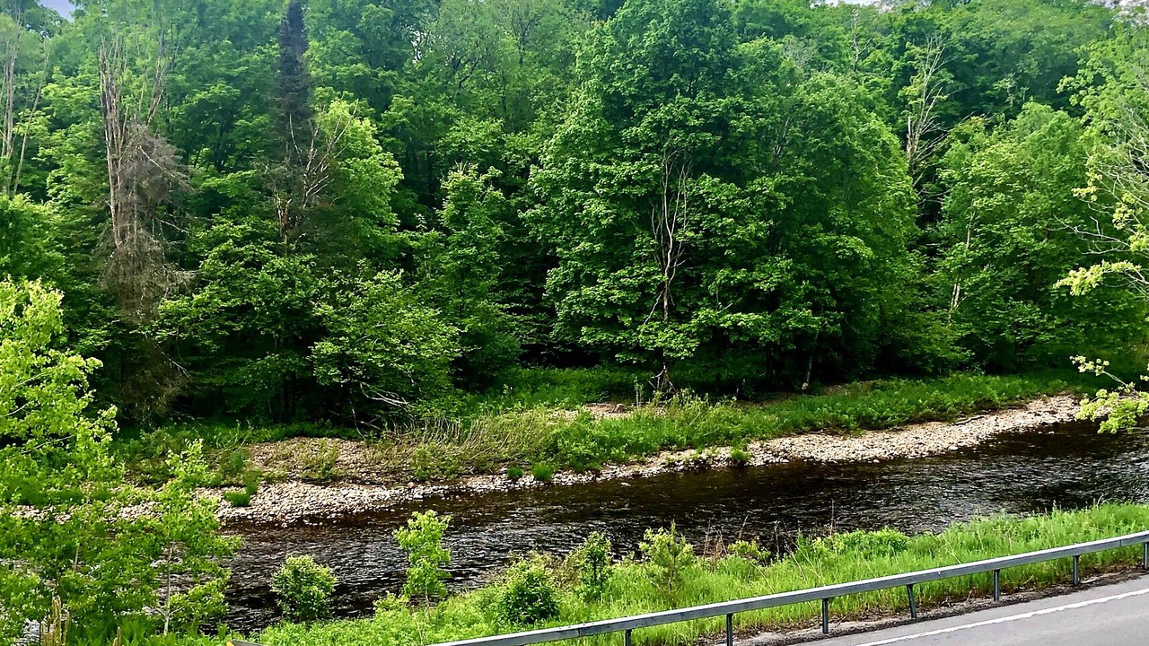 Photo of Others in Cold Brook
