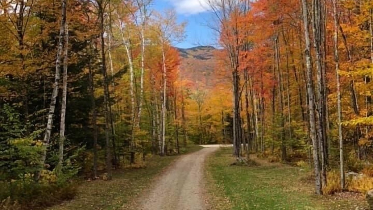 Photo of Outdoor in Waterbury