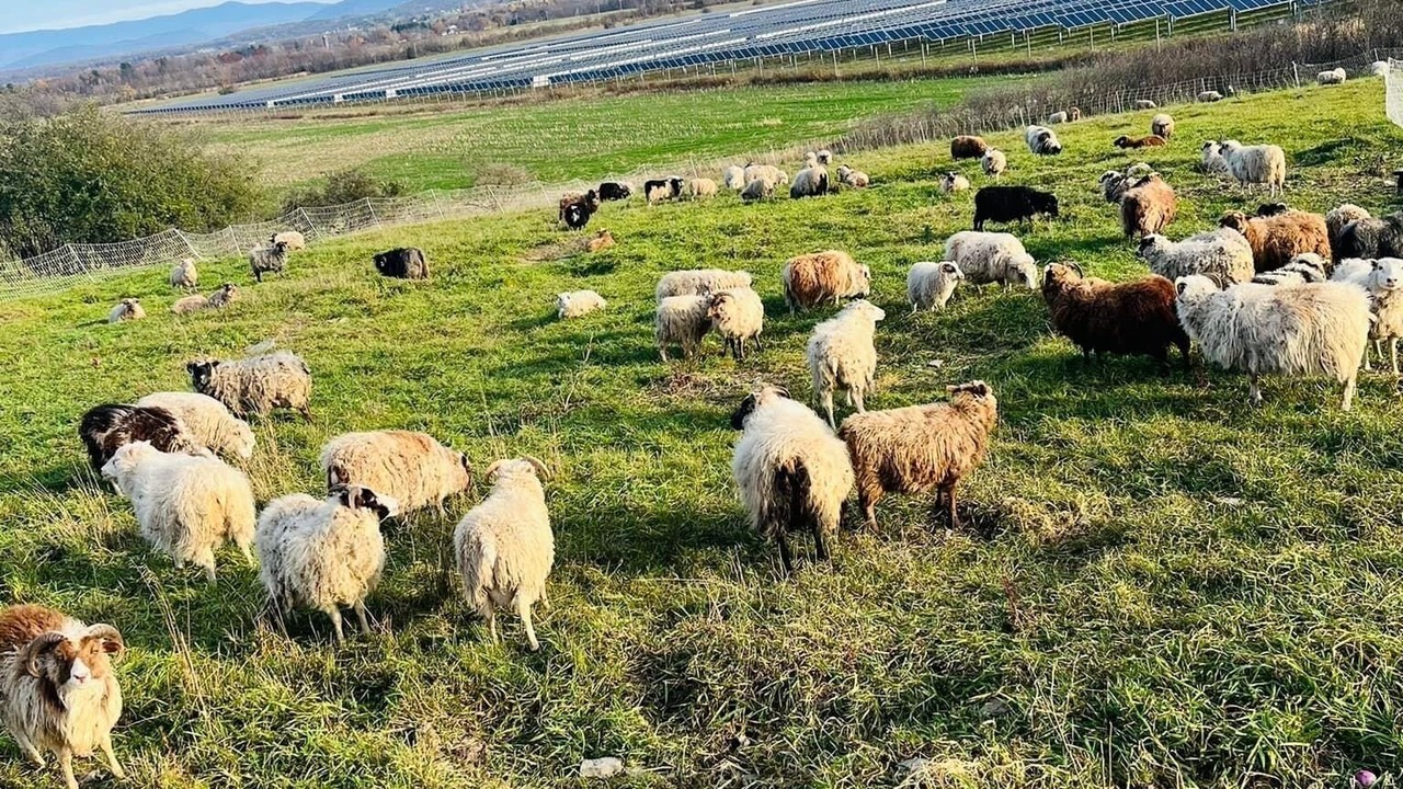 Photo of Outdoor in Waterbury