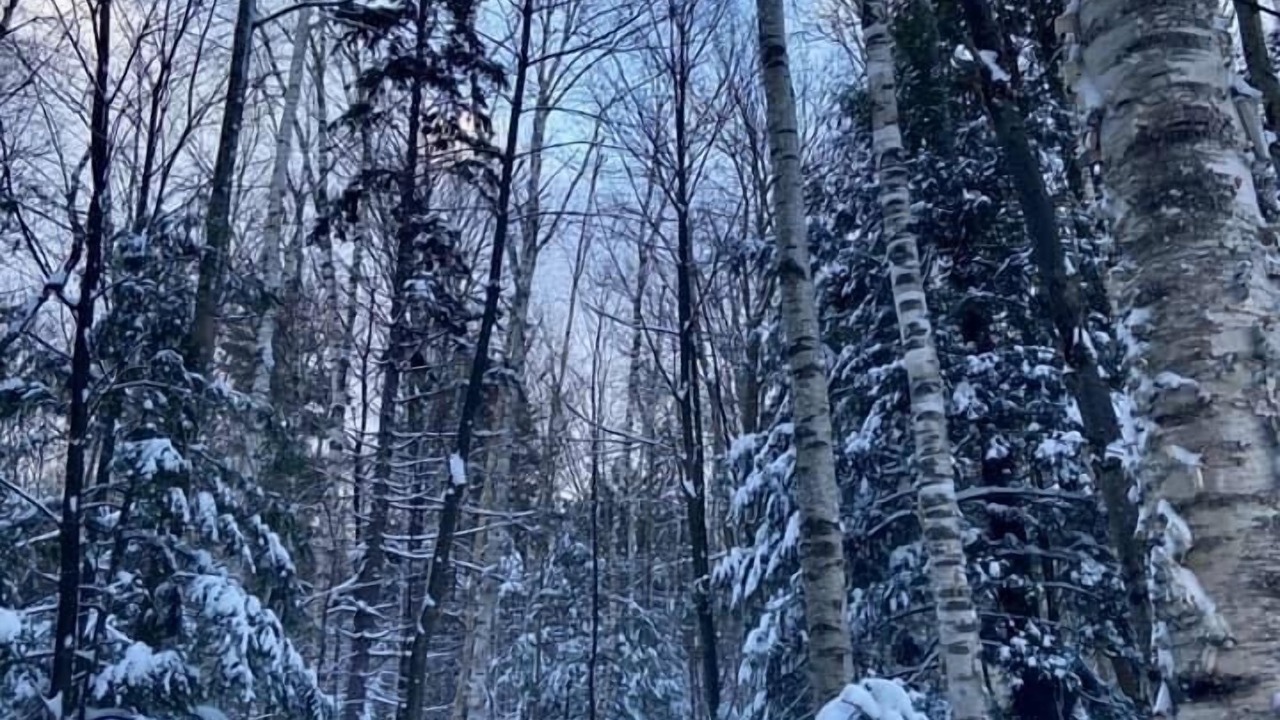 Photo of Outdoor in Waterbury