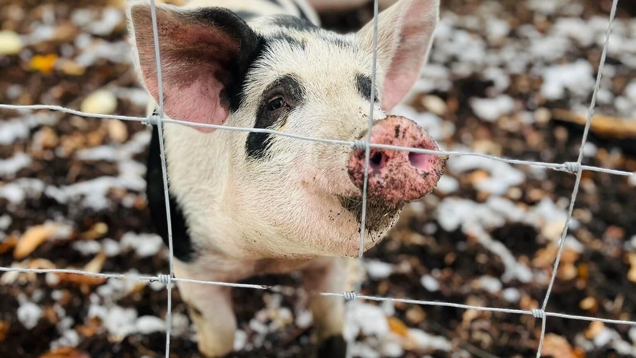 Photo of Others in Waterbury