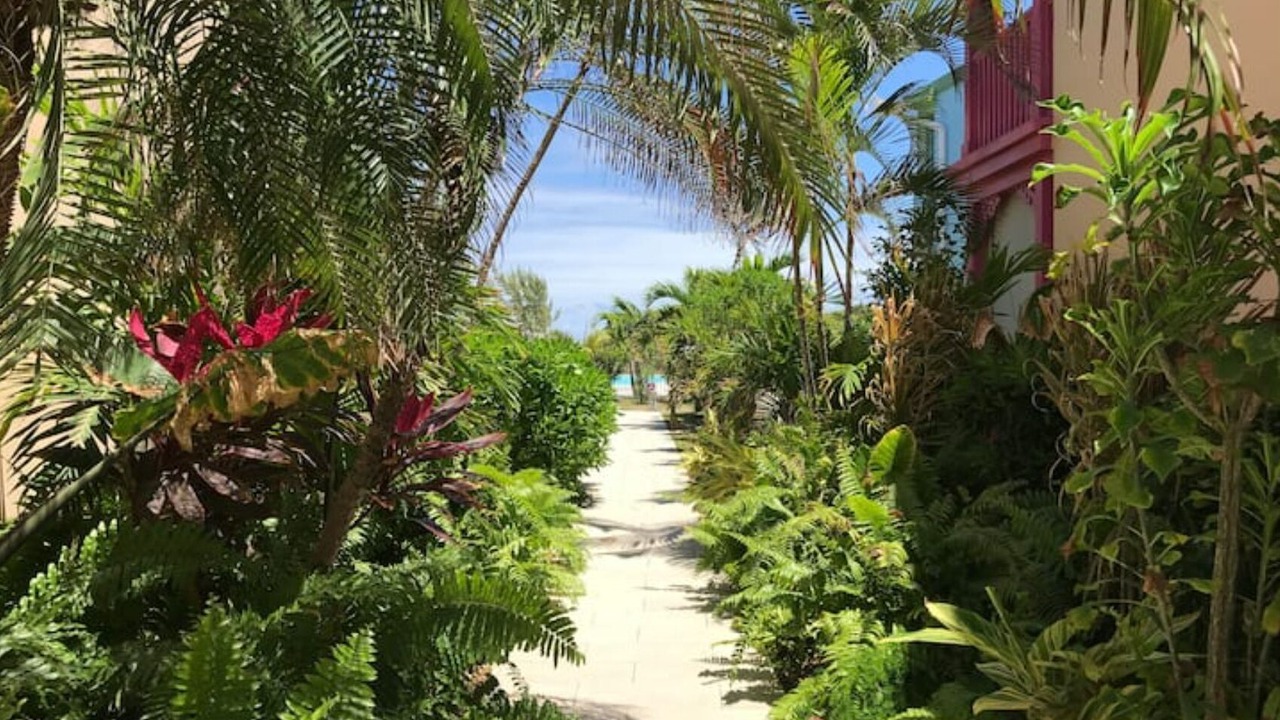 Photo of Outdoor in Bellevue