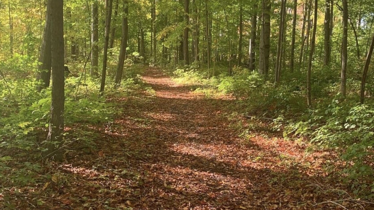 Photo of Others in Cherry Valley