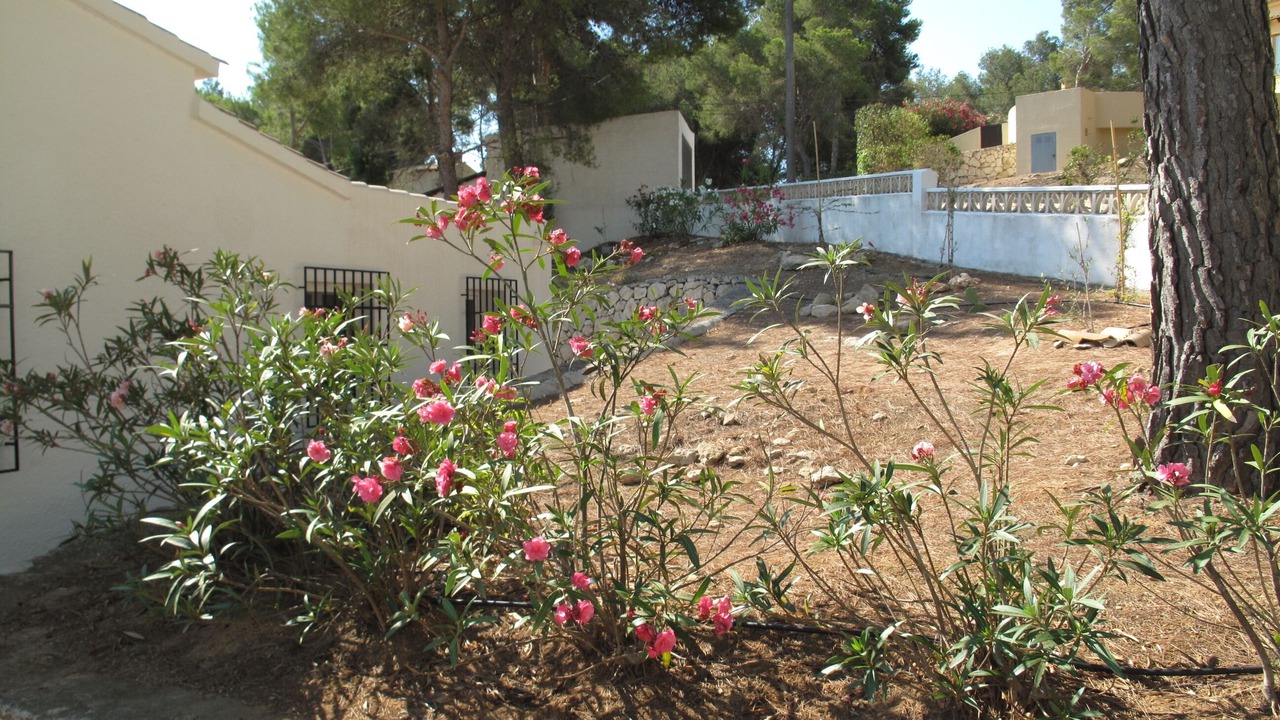 Photo of Outdoor in Pinar del Advocat