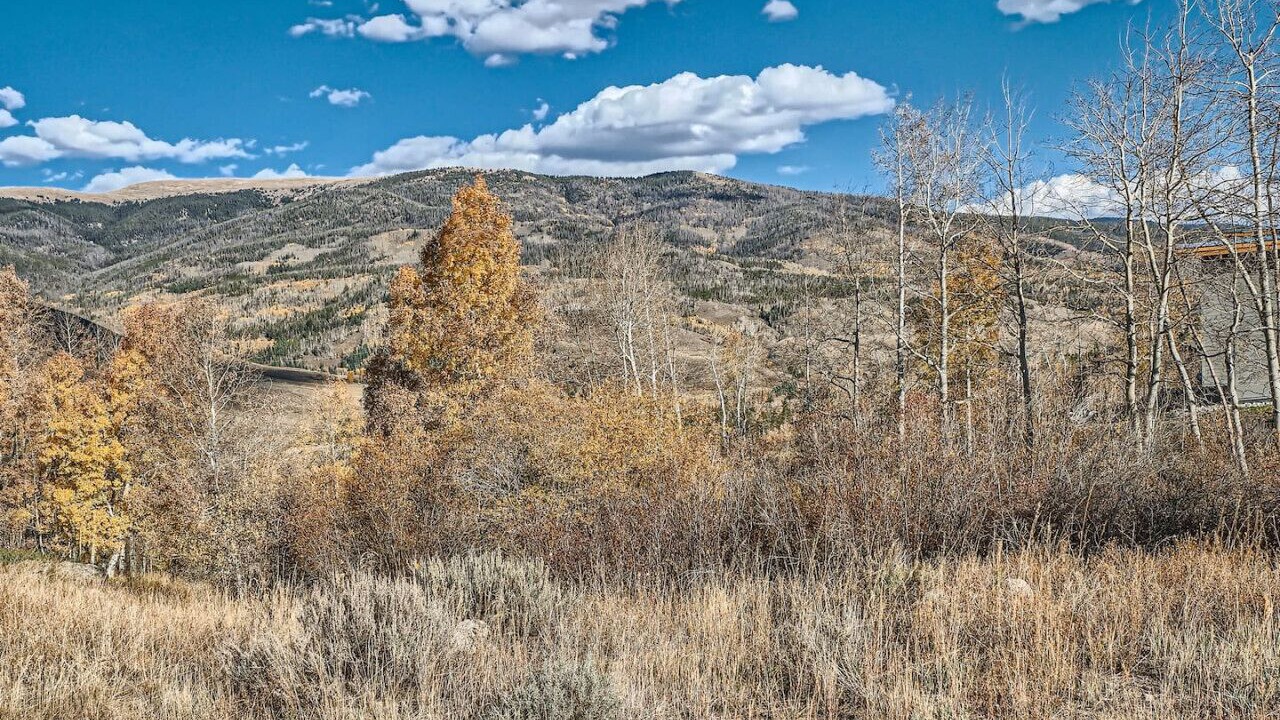 Photo of Others in Silverthorne