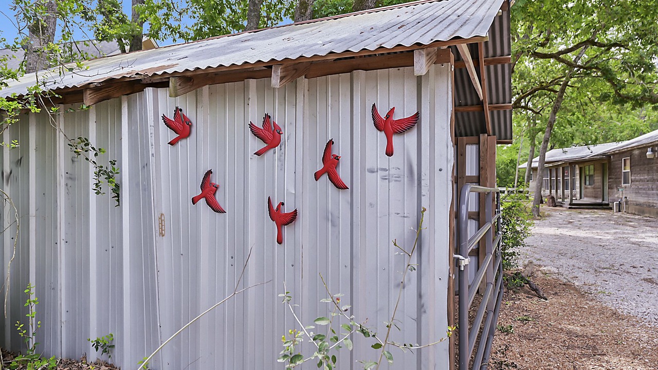 Photo of Outdoor in Bryan
