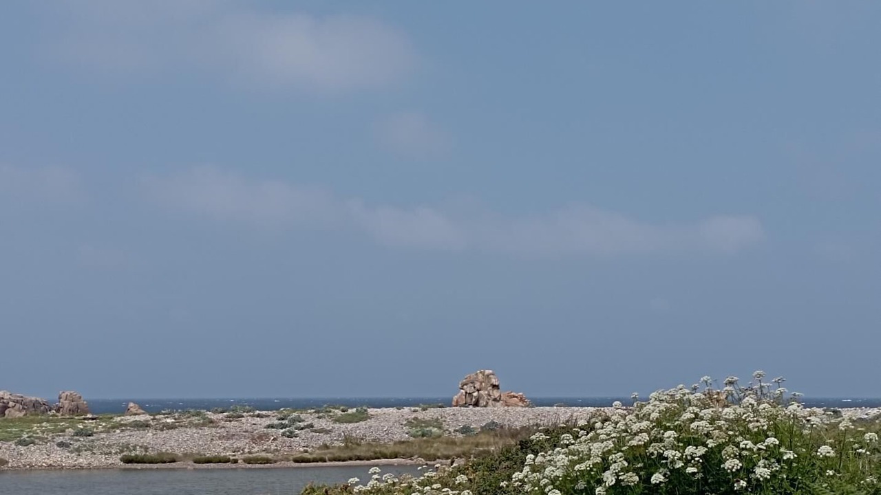 Photo of Others in Plougrescant