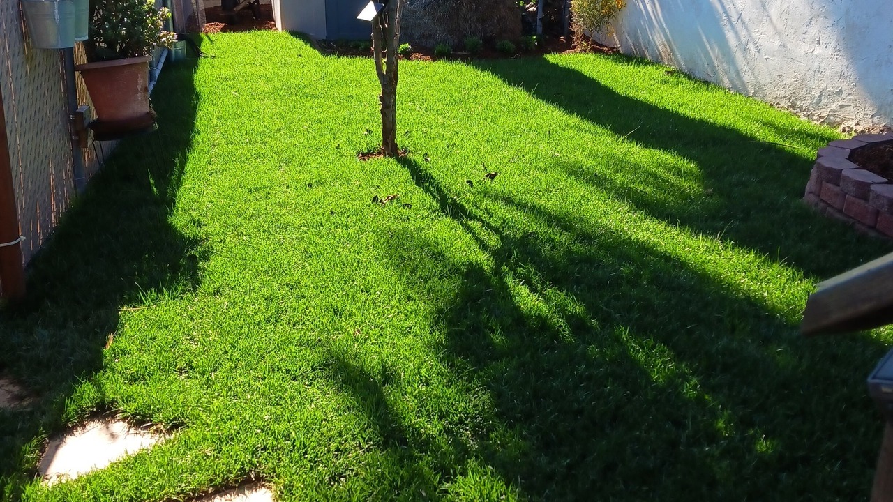 Photo of Outdoor in Central San Pedro