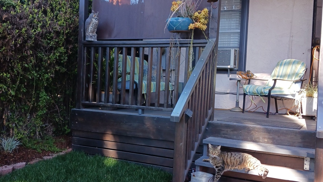 Photo of Patio Balcony in Central San Pedro
