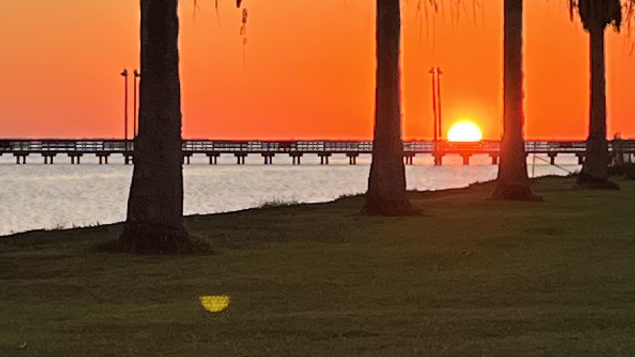 Photo of Outdoor in Long Mott