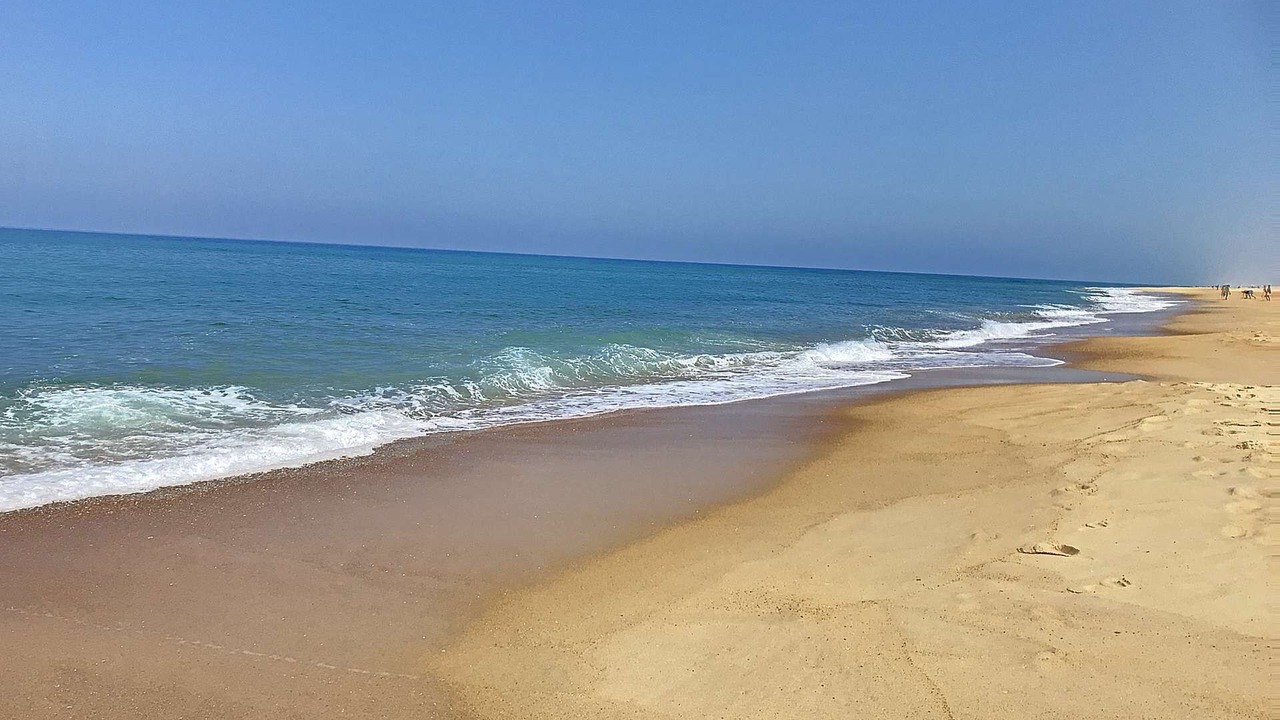 Photo of Others in Vieux-Boucau-les-Bains