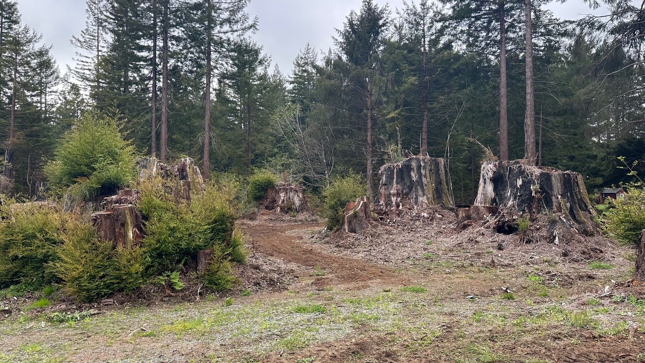 Photo of Outdoor in Crescent City