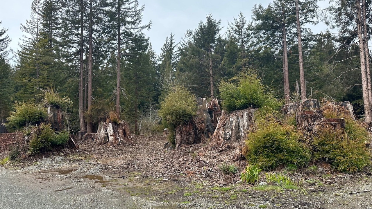 Photo of Outdoor in Crescent City