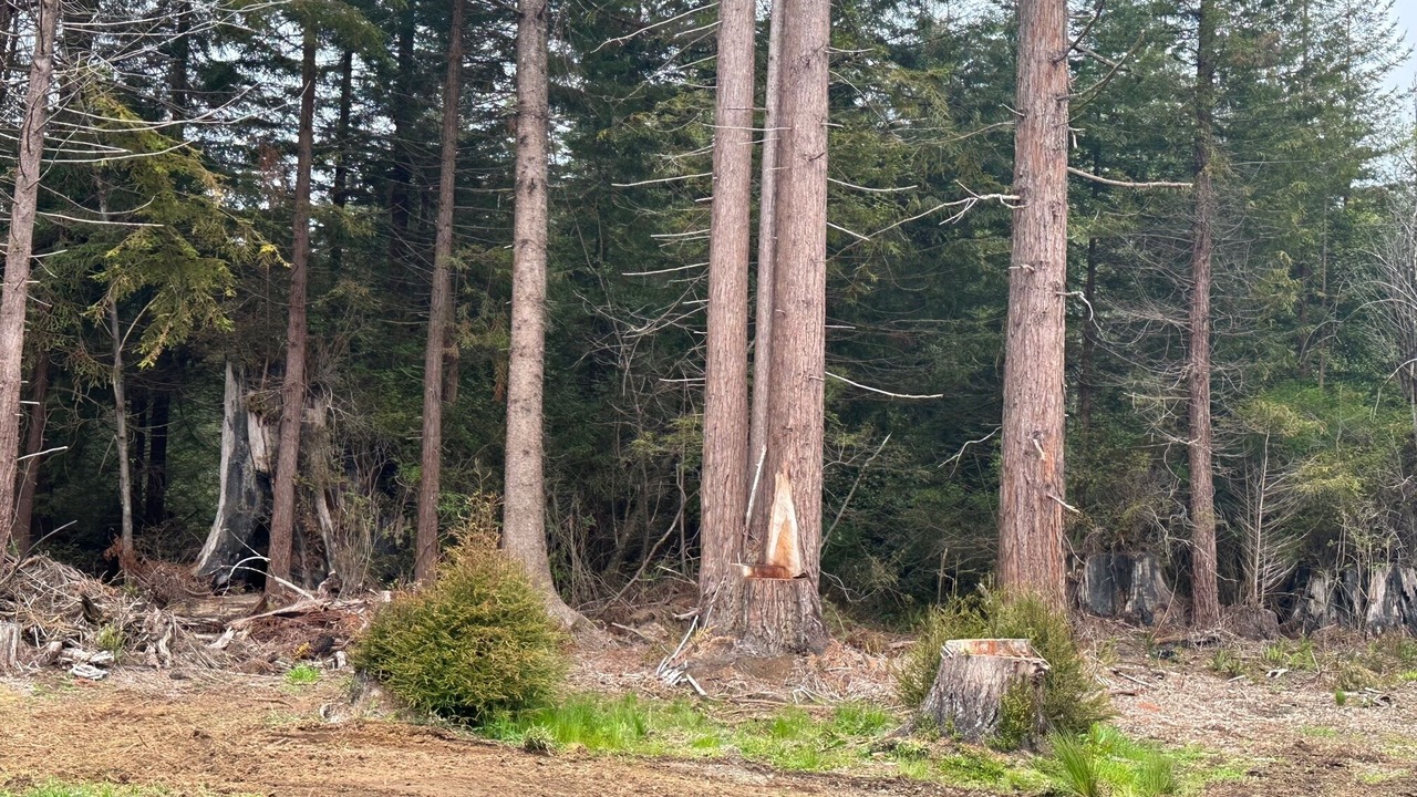 Photo of Outdoor in Crescent City