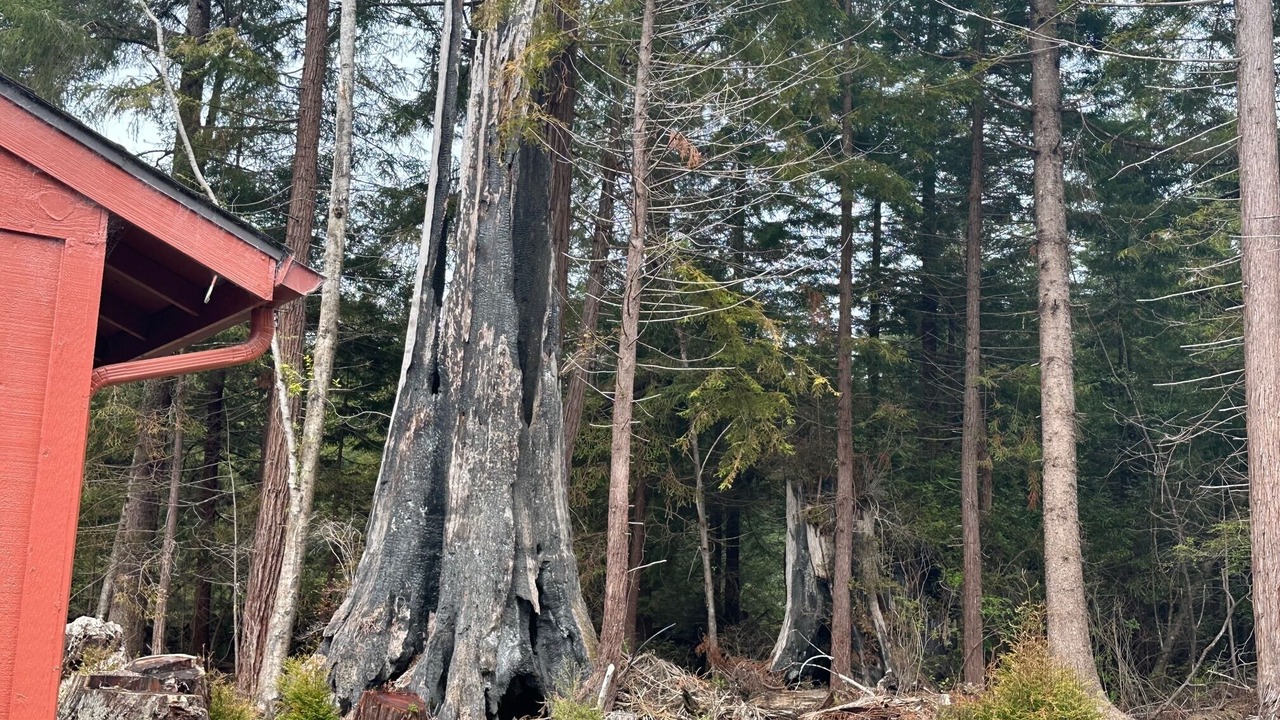 Photo of Outdoor in Crescent City