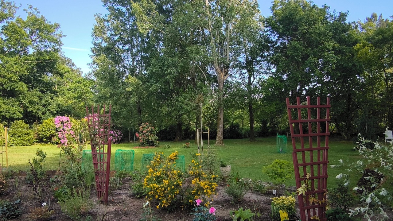 Photo of Outdoor in Parentis-en-Born