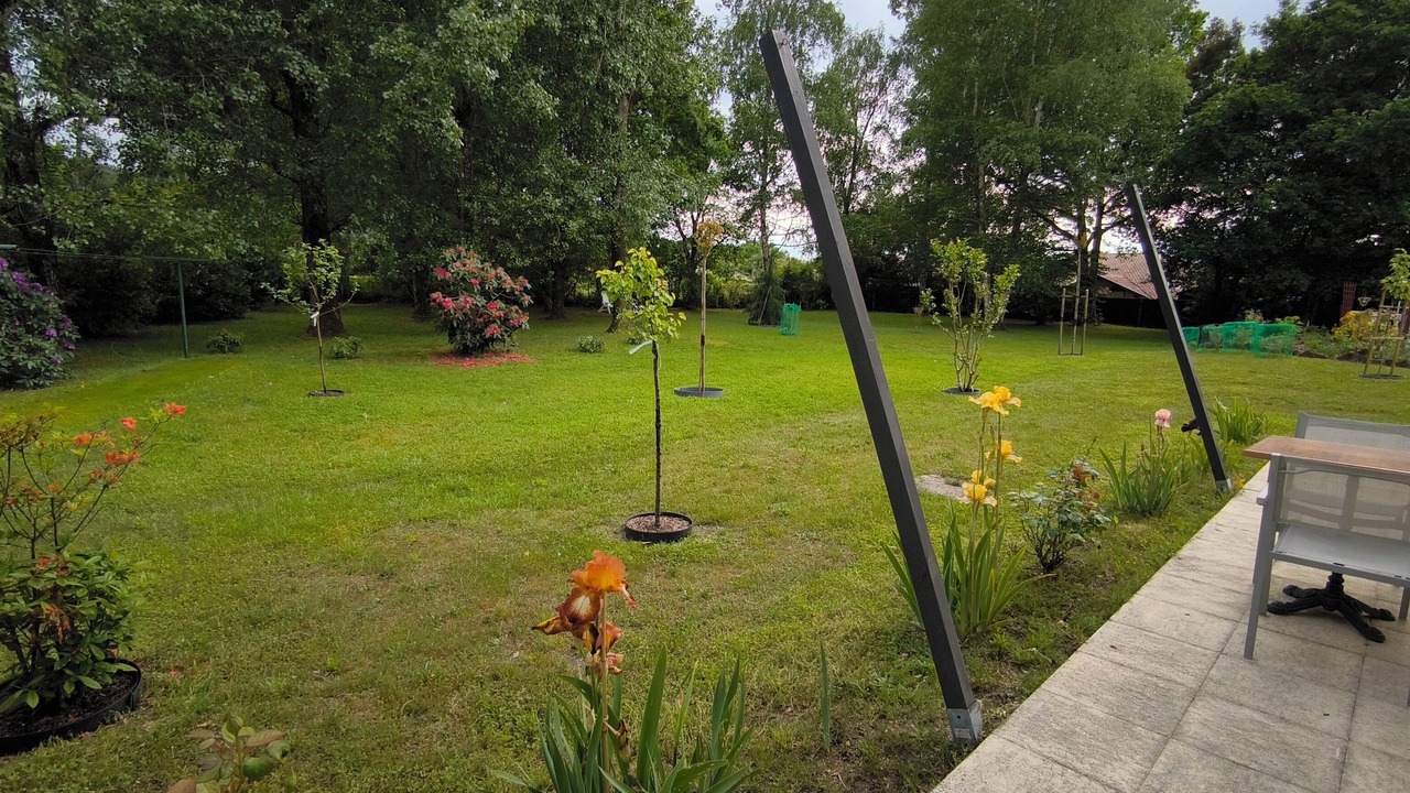 Photo of Outdoor in Parentis-en-Born