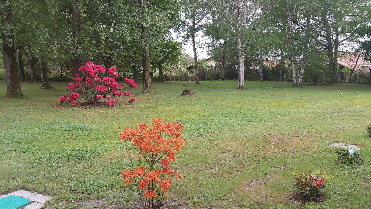 Photo of Outdoor in Parentis-en-Born