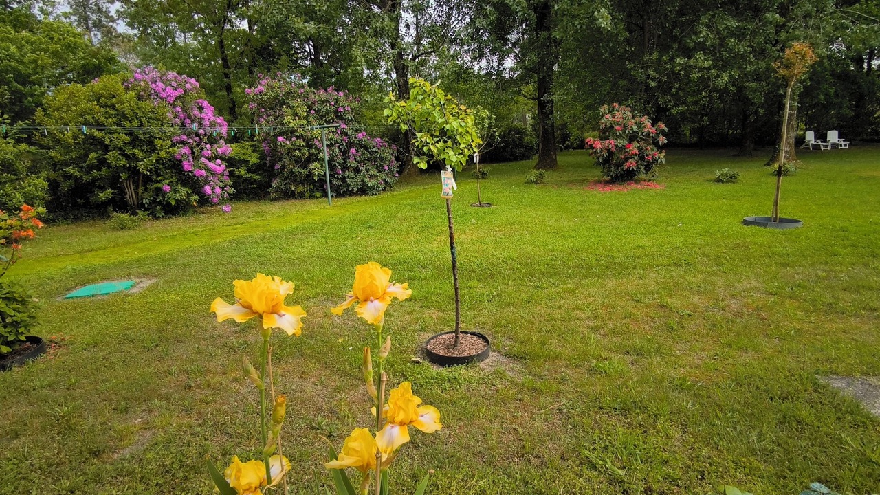 Photo of Outdoor in Parentis-en-Born