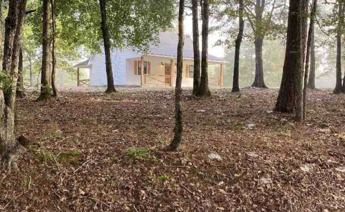 Photo of Outdoor in Hatfield