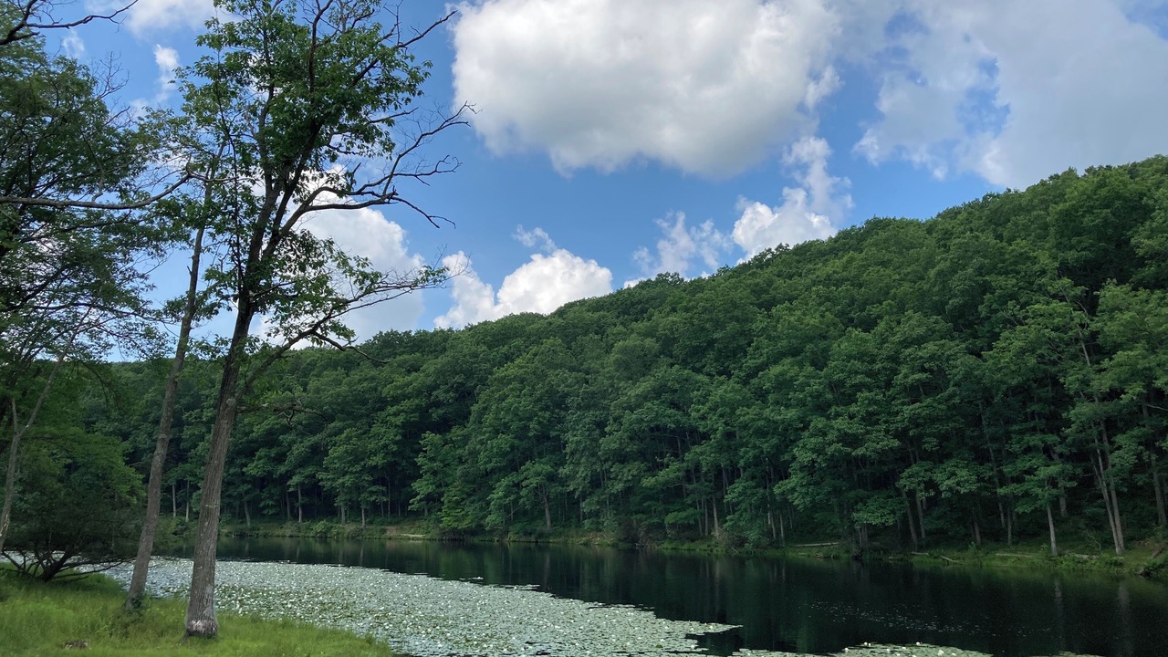 Photo of Outdoor in Philipsburg