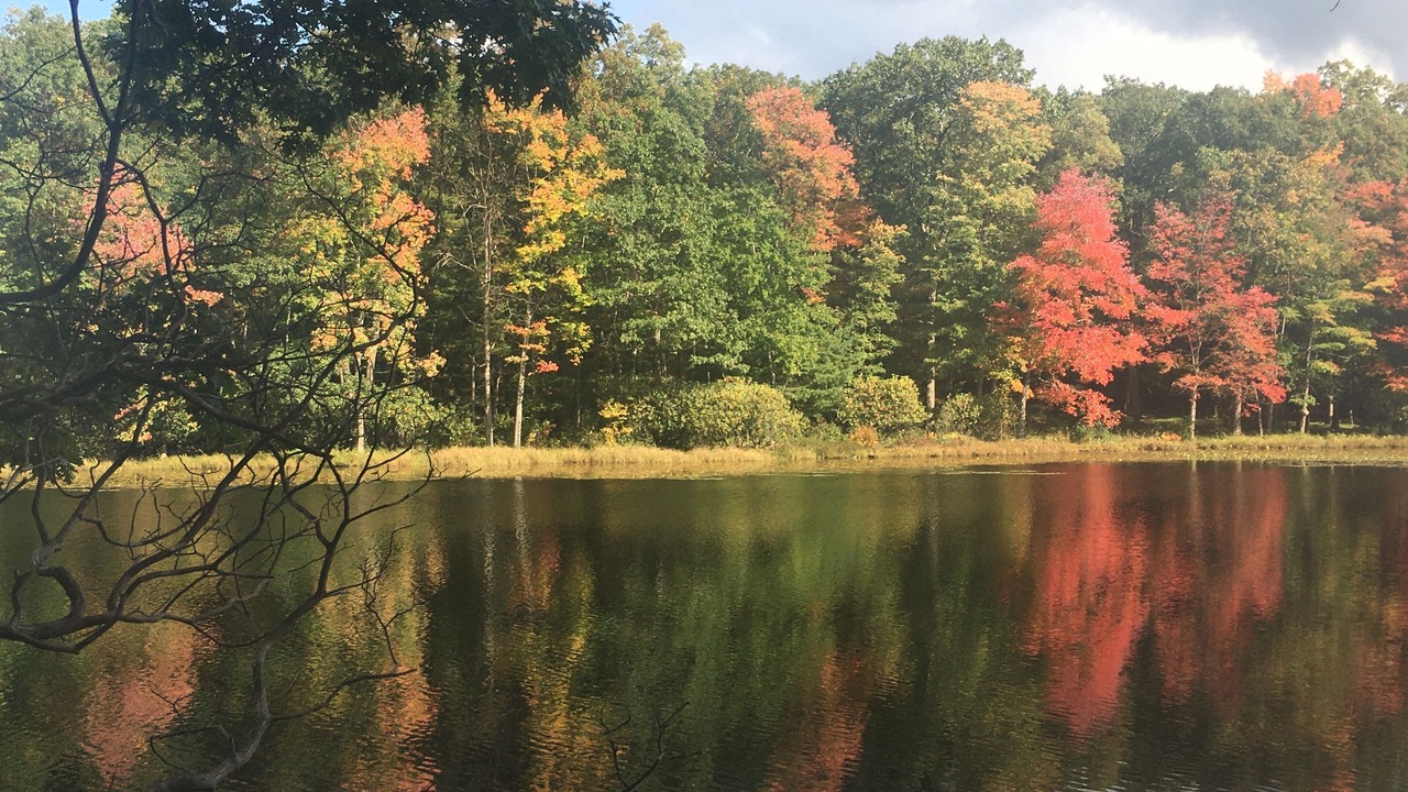 Photo of Outdoor in Philipsburg