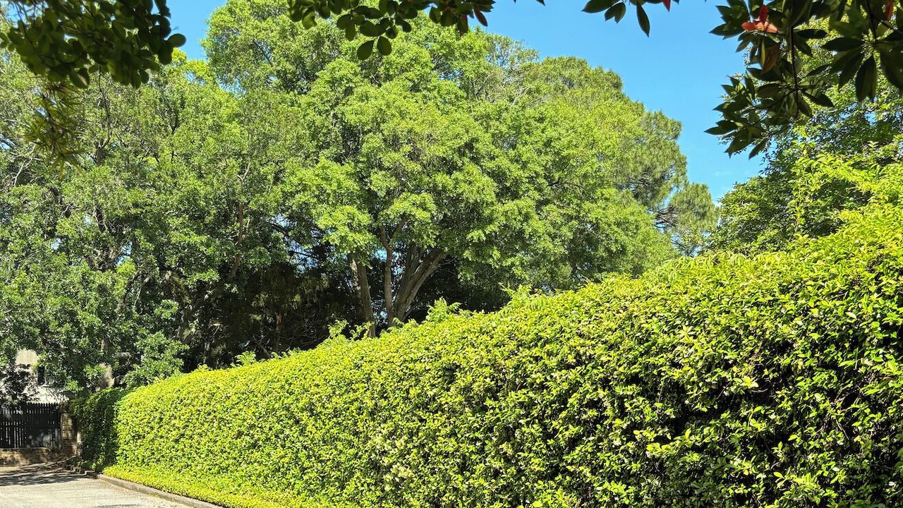 Photo of Outdoor in Ansonborough