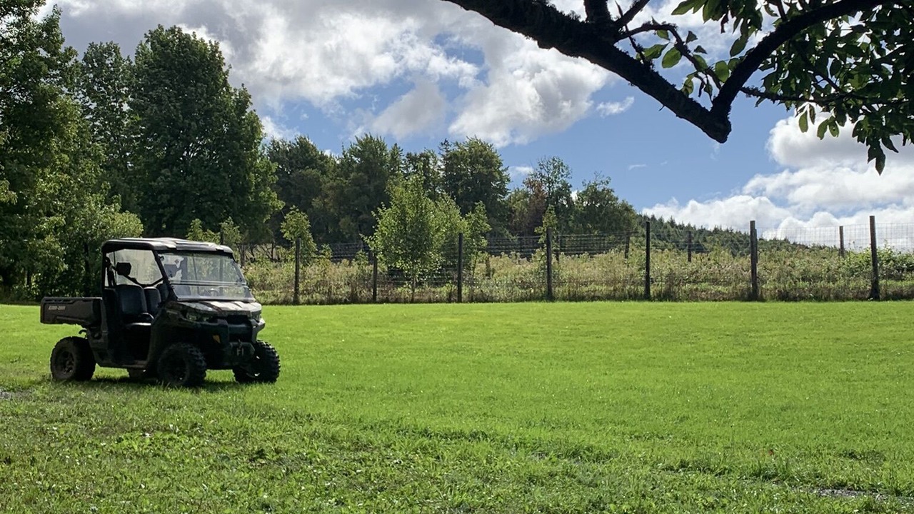 Photo of Outdoor in Onslow