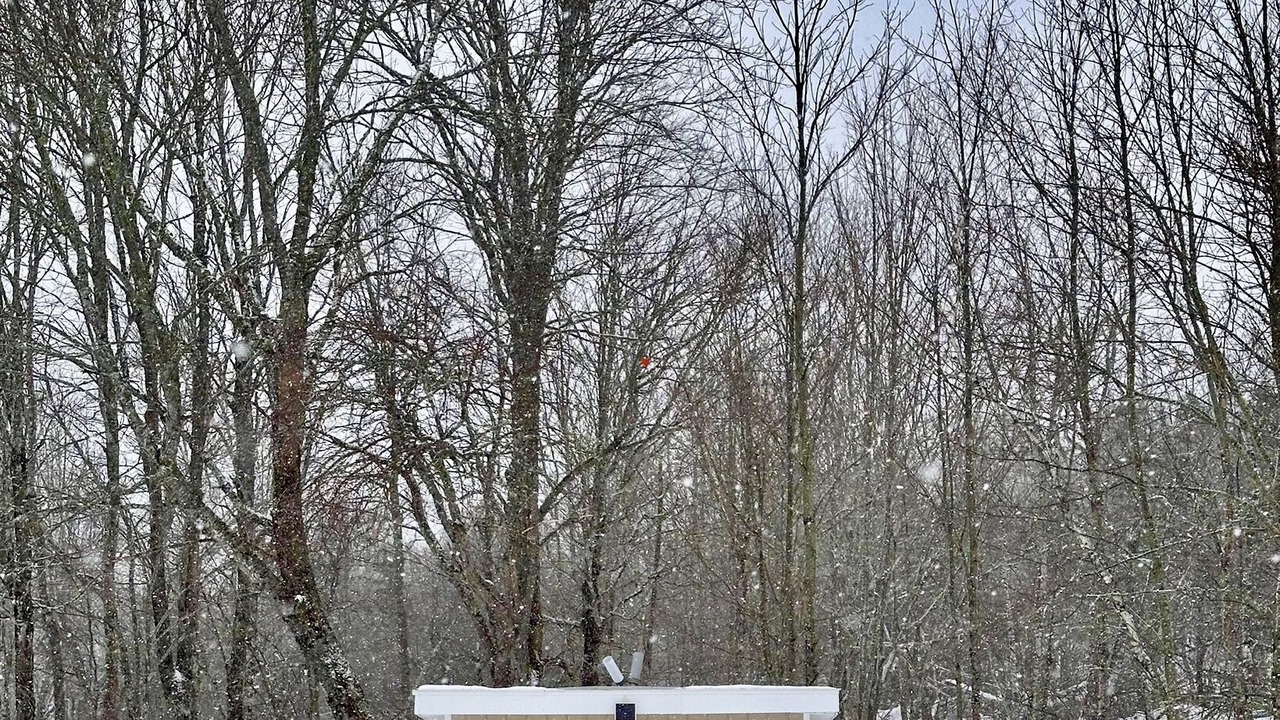 Photo of Others in Onslow