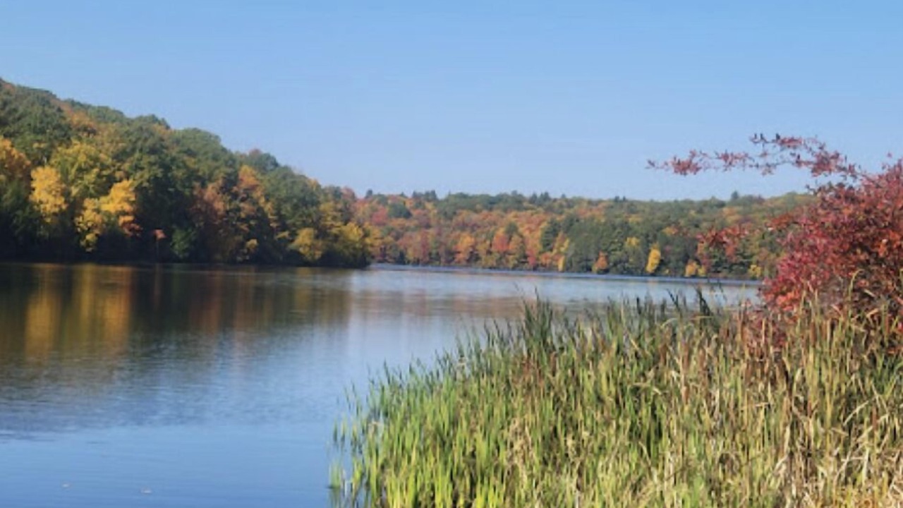 Photo of Outdoor in Mongaup Valley