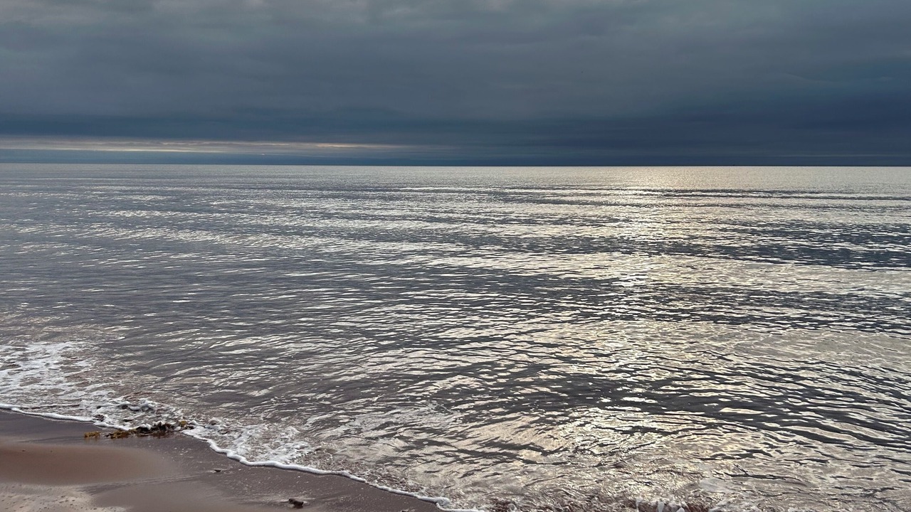 Photo of Others in Kildare Capes