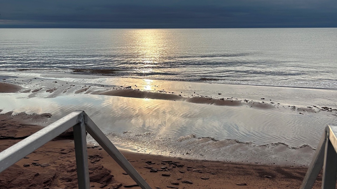 Photo of Others in Kildare Capes