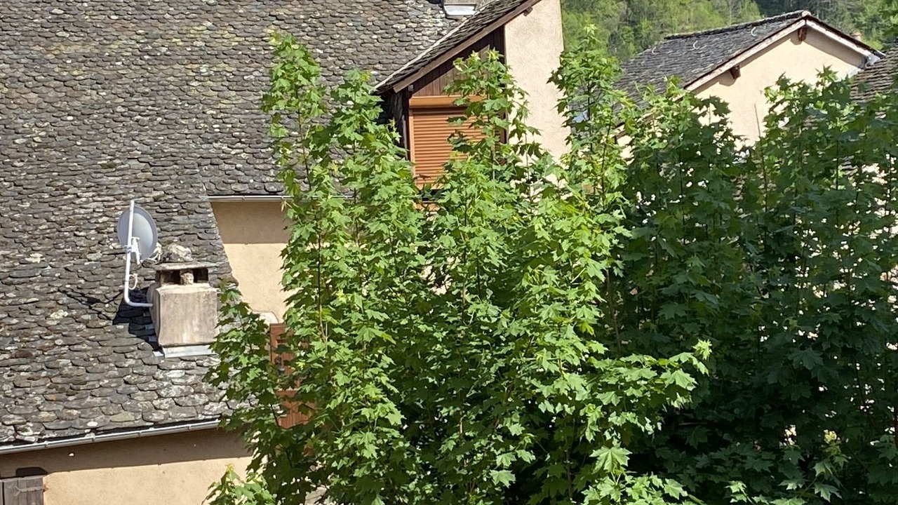 Photo of Outdoor in Ispagnac