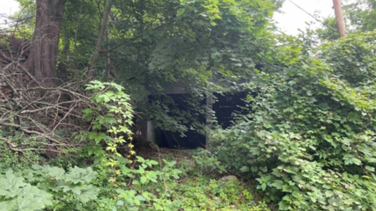 Photo of Outdoor in Kingston