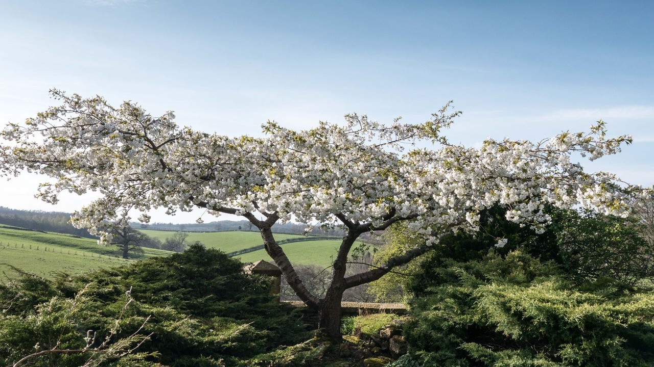 Photo of Others in Grimstone