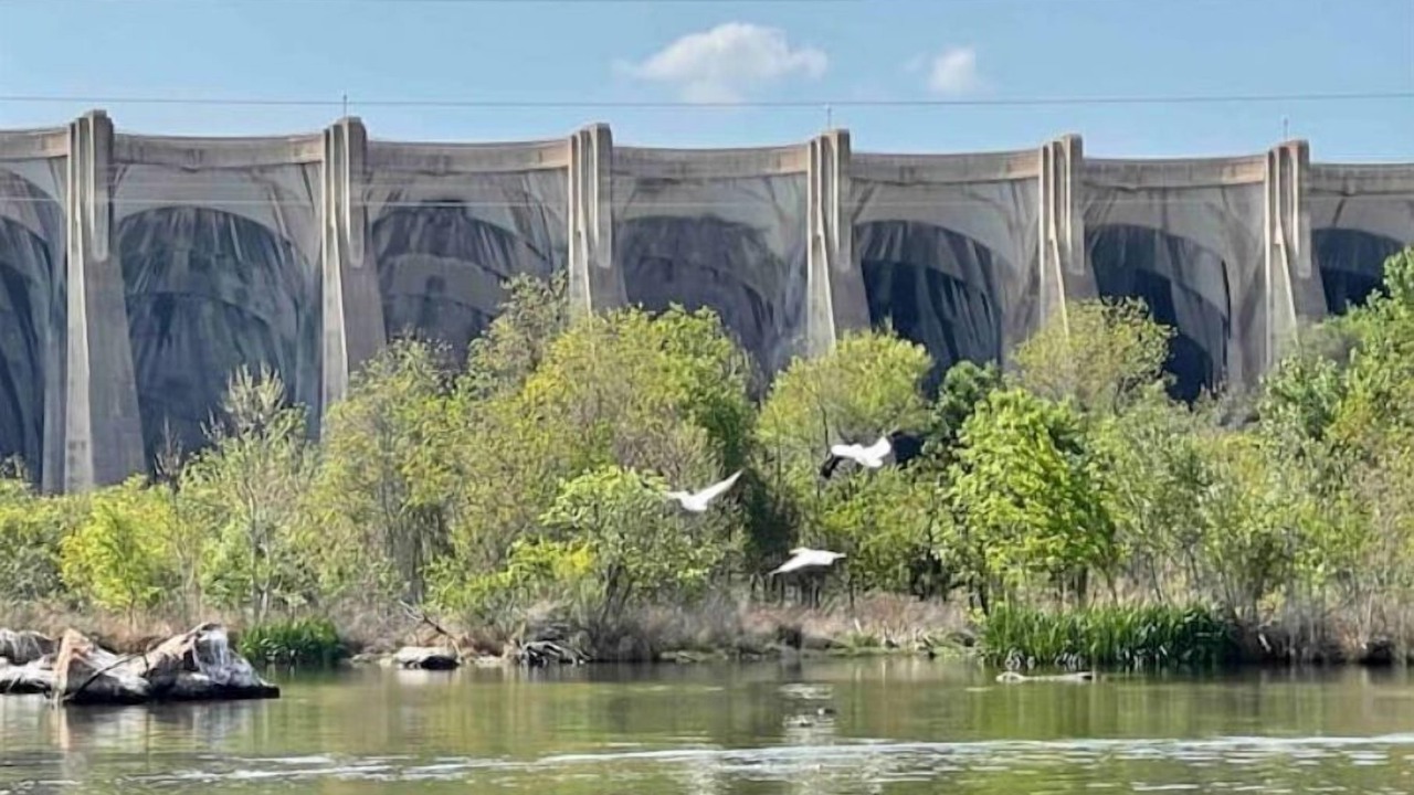 Photo of Outdoor in Buchanan Dam