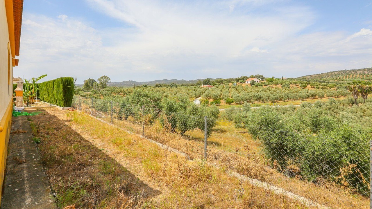 Photo of Outdoor in La Puebla de los Infantes
