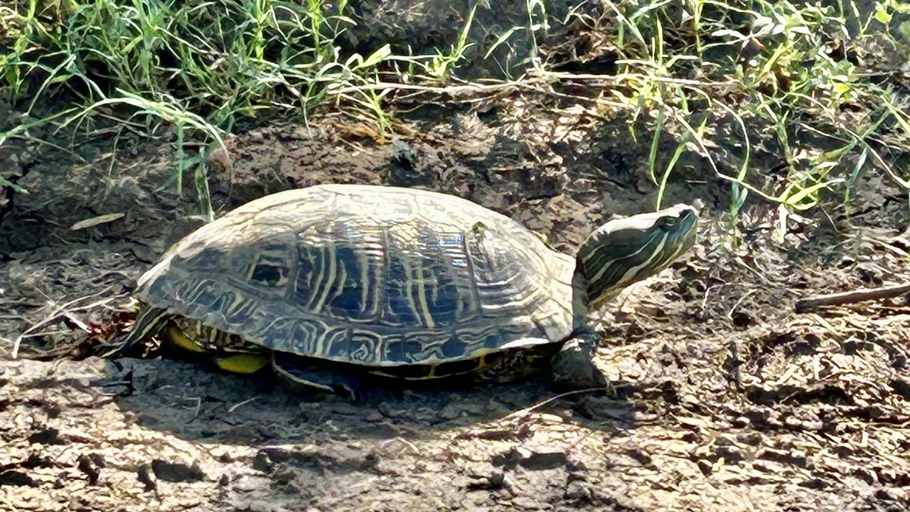 Photo of Others in Abilene