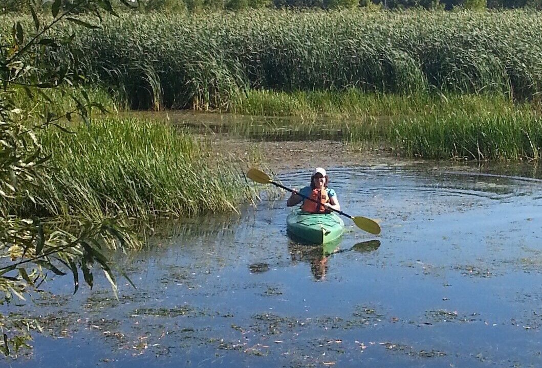 Photo of Others in Wolfe Island