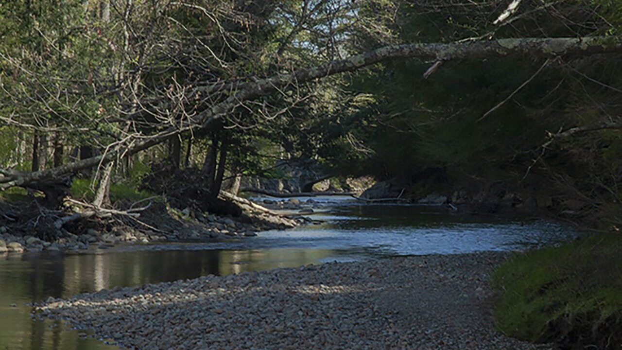 Photo of Outdoor in Keene Valley