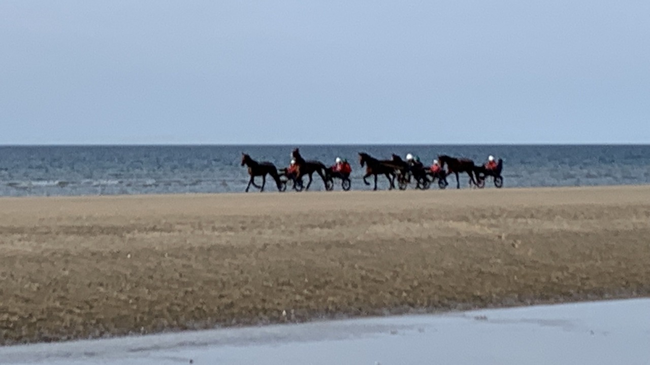 Photo of Others in Benerville-sur-Mer
